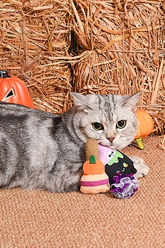 Bewitched Cat Toy Set 2